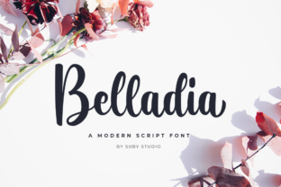 Belladia: A Designer’s Honest Review for Real Projects