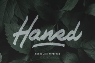 Haned Script Font: A Web Designer's Take on Digital Branding