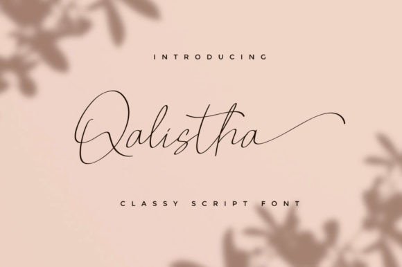 Qalistha Script Font: A Designer’s Review for Branding Projects