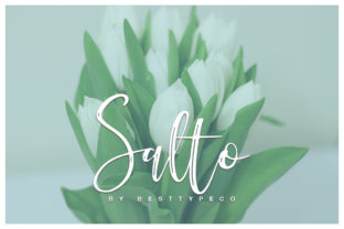 Salto Font: A Fresh Script for Handmade Sellers and Crafters