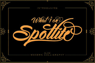 Spotlite Bold: A Designer’s Honest Review for Real Work