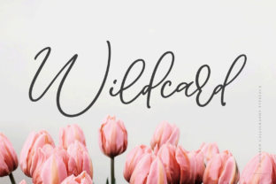 Wildcard: A Bouncy Script Font for Editorial Projects
